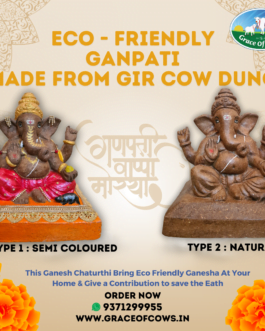 Ganpati Idol : Eco-Friendly (From Gir Cow Dung)